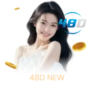 DingDong 48D POS4D